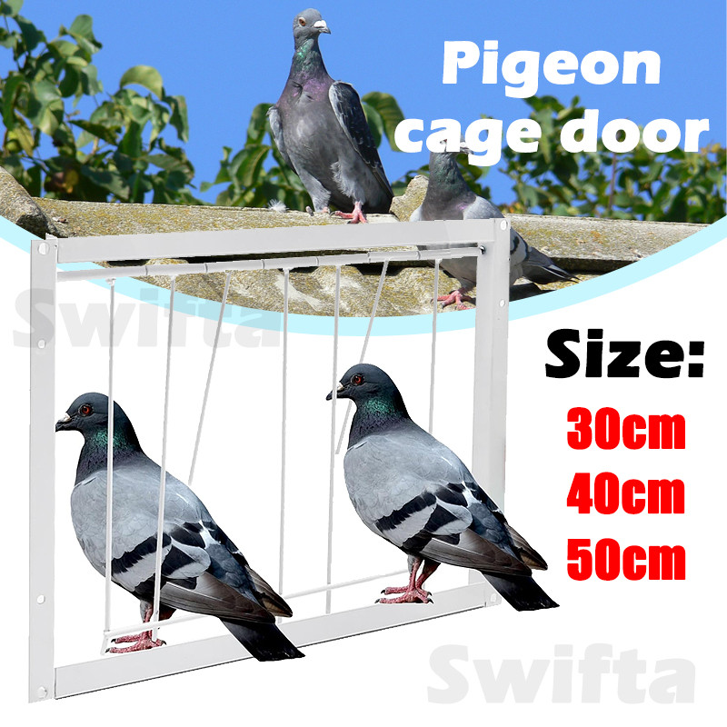 30/40/50/60cm T-trap Bird Pigeon trap door Stainless steel frame ...