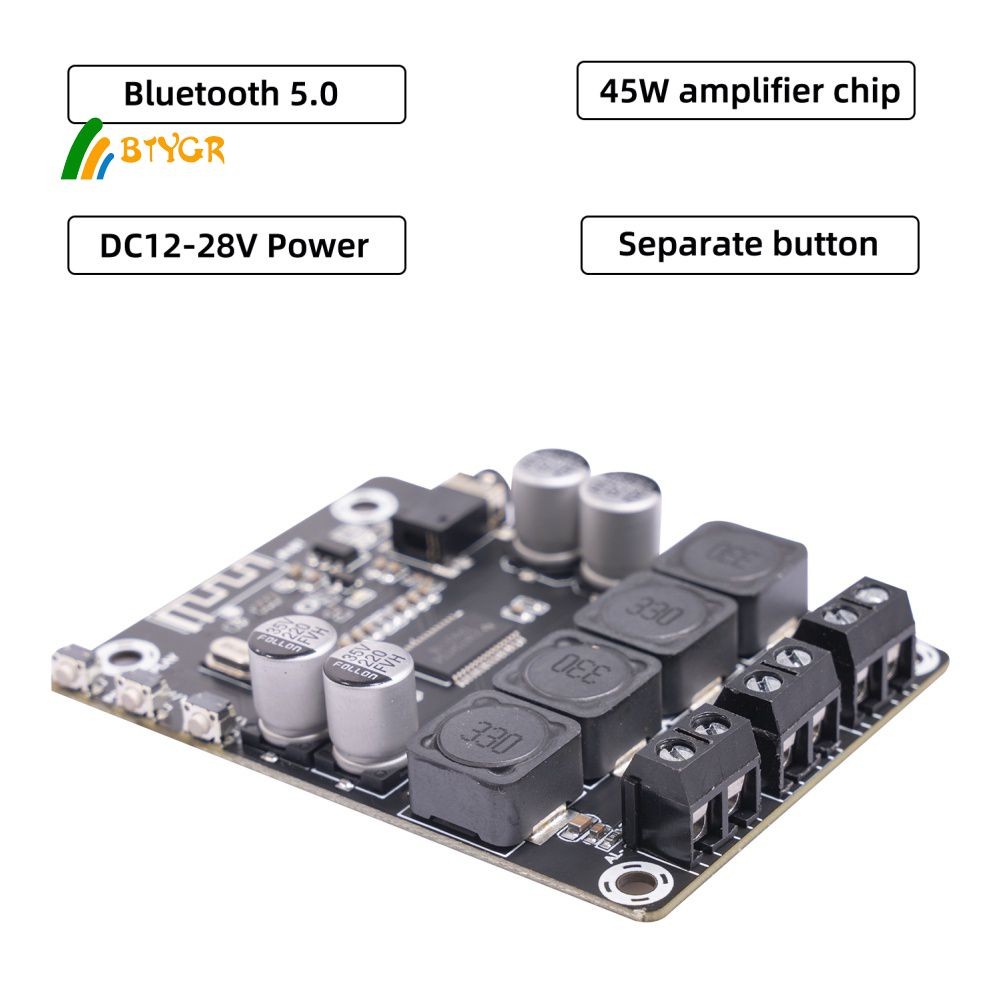 【Fast delivery】 Amplifier Module 5.0 Amplifier