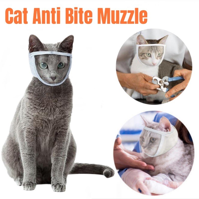 Cat Safety Anti Bite Muzzle Mask Adjustable Transparent Chewing Mouth ...