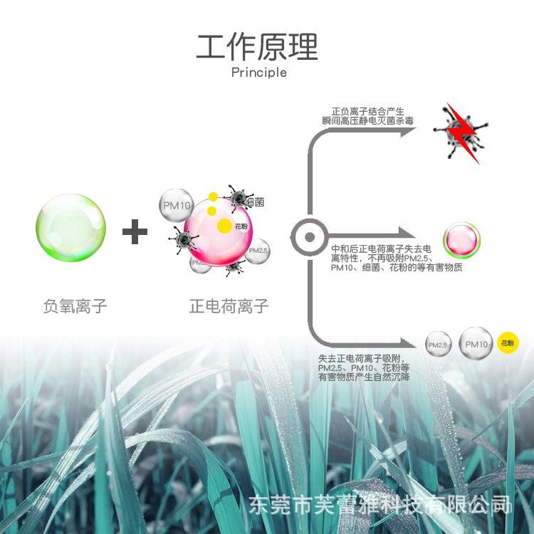 CrossBorder Portable Touch AntiFlu Anion Air Purifier Halter Removal