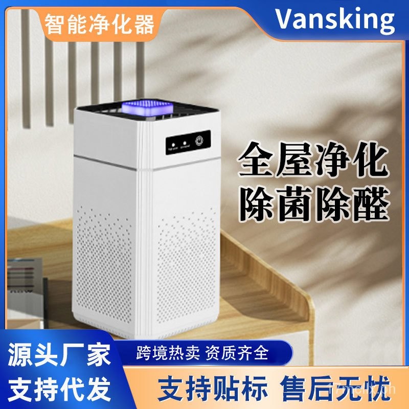 Air Purifier Anion Purification Formaldehyde Removal Filter USB ...