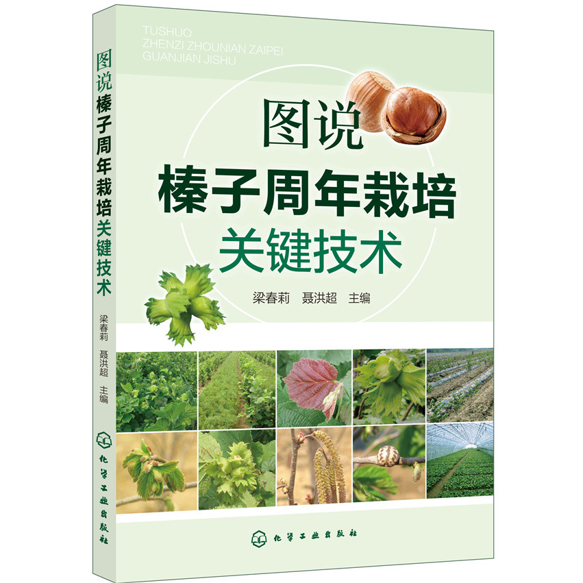 Illustrated the Key Technology of Hazelnut Anniversary Cultivation ...