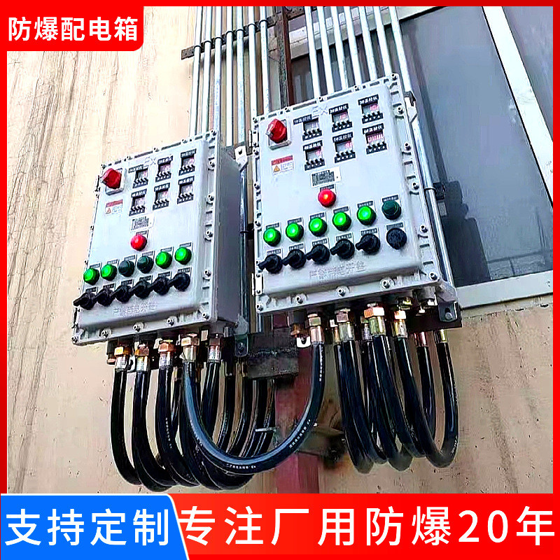 Factory Direct Supply Explosion Proof Luminaire Distribution Box ...
