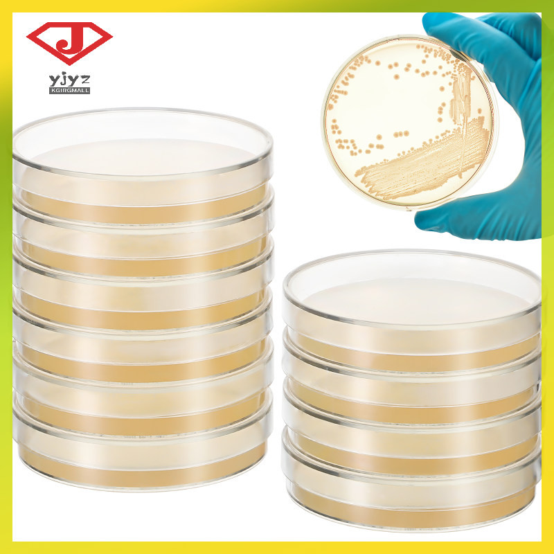 10 Pcs Nutrient Agar Plate Pre Poured Plates Pre-poured Petri Dishes ...