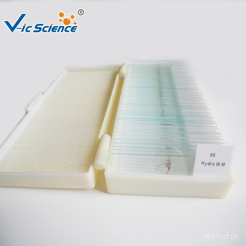 50Hybrid Suit Observe Glass Slide Microscope Observation Specimens for ...