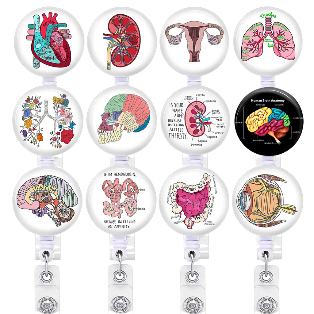 Plifal GI Intestine Badge Reel Holder - Retractable ID Clip For Nurses, Doctors, Medical Office (Alligator Clip Design)