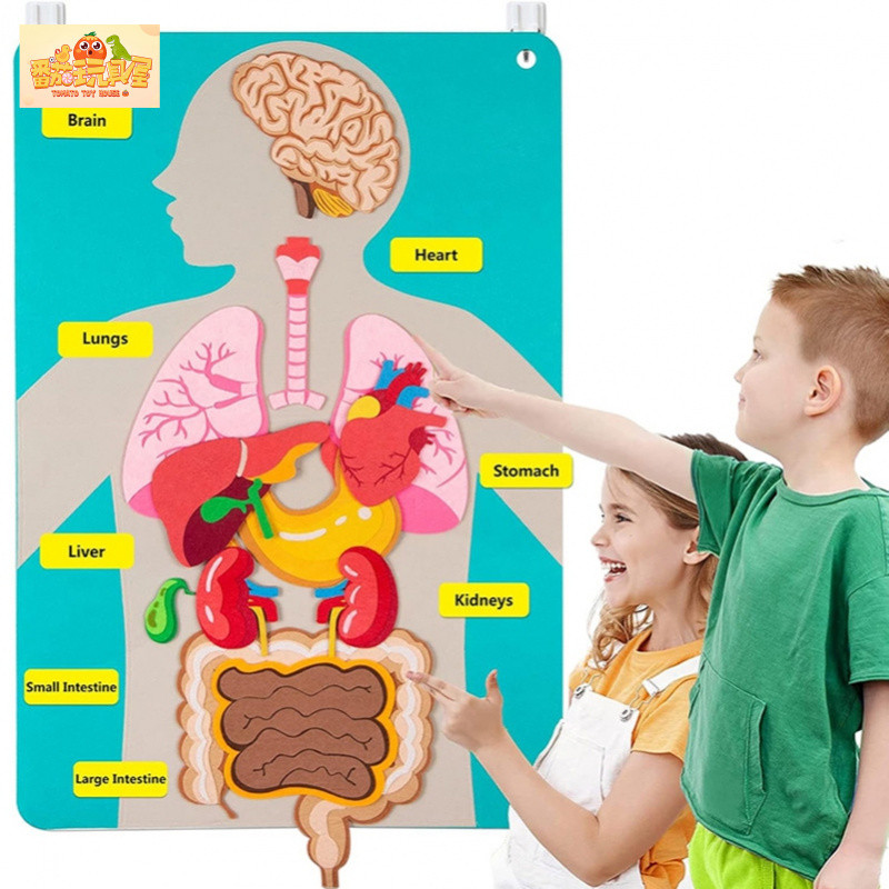 Montessori Body Parts Set Felt Board Story Preschool Teaching Book ...