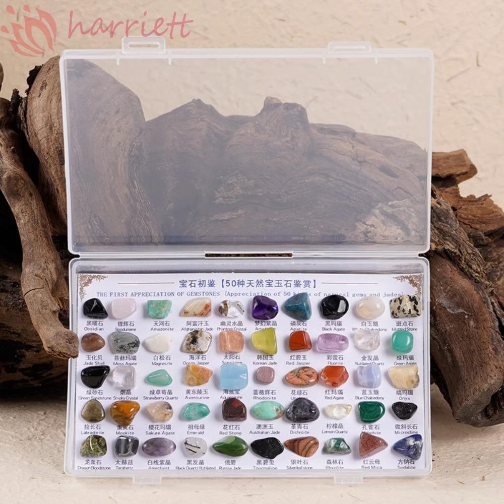 HARRIETT 50pcs/box Natural Gems Specimens, Multicolor Crystal Rough ...