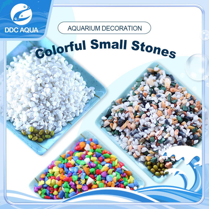 【DDC AQUA】Aquarium Colorful Rocks Pebble Stone For Fish Tank | Shopee ...