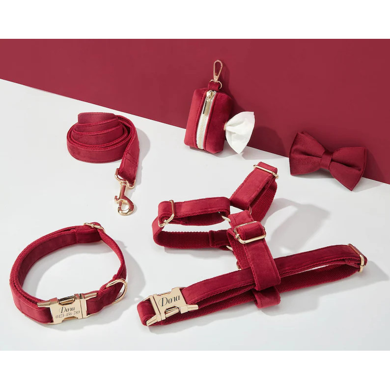 Burgundy Velvet Dog Harness and Leash Set, Personalize Step In Puppy ...
