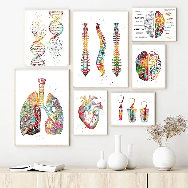 Human Anatomy Muscles System Wall Art Canvas Painting Posters And ...