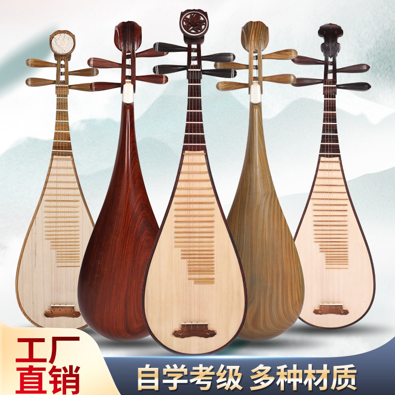 Pipa Musical Instrument Rosewood Children's Practice for Beginners PIPA ...