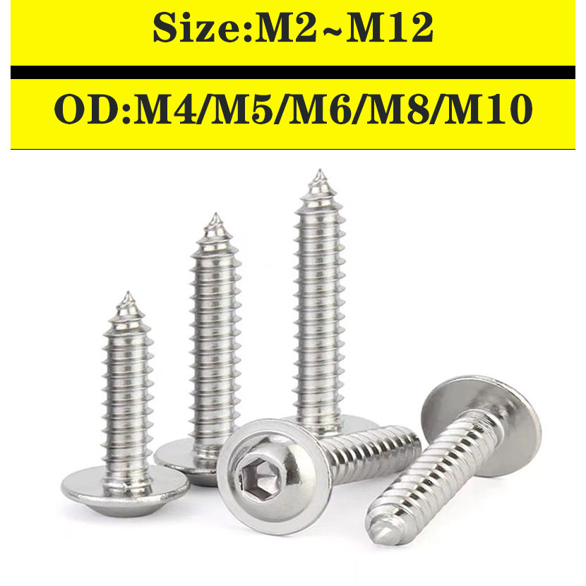 BricoLoco Metal Anchor A2 AISI 304 Stainless Steel Expansion Anchor With Open Ring Hook For Wall, Ceiling, Floor, TRX, Canopy (1, 10 X 70 (for 12 Mm