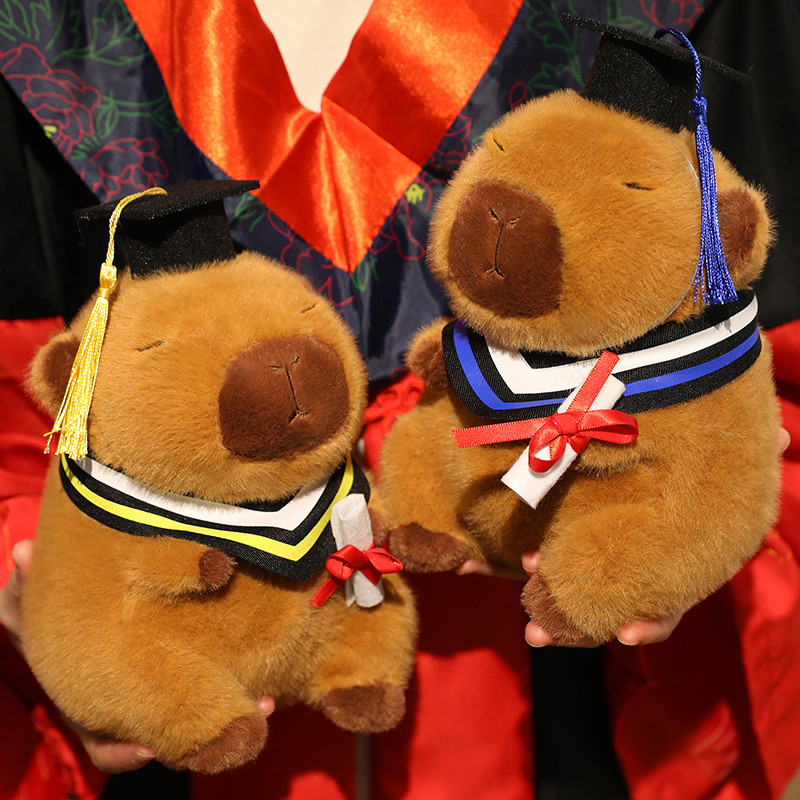 20/25cm Kawaii Graduation Dr.Capybara Plush Toy Cute Hat Kapibala Soft ...