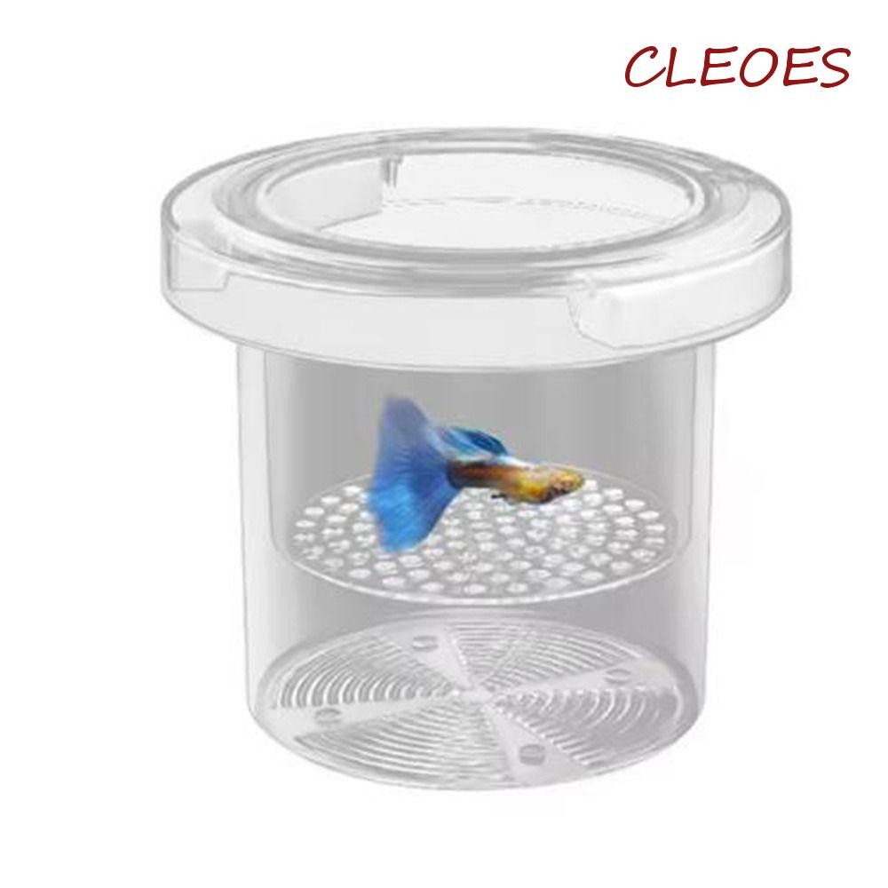 CLEOES Floating Fish Breeding Isolation Box, Transparent Acrylic ...
