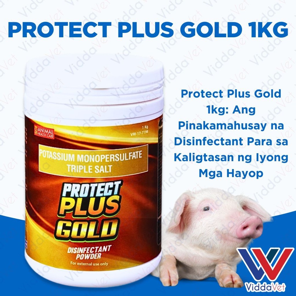 Protect Plus Gold 1KG Livestock Disinfectant Solution for Animals ...
