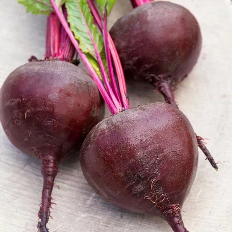 RED BEET SEEDS (50 seeds) - Dark Red Beets | Shopee Philippines