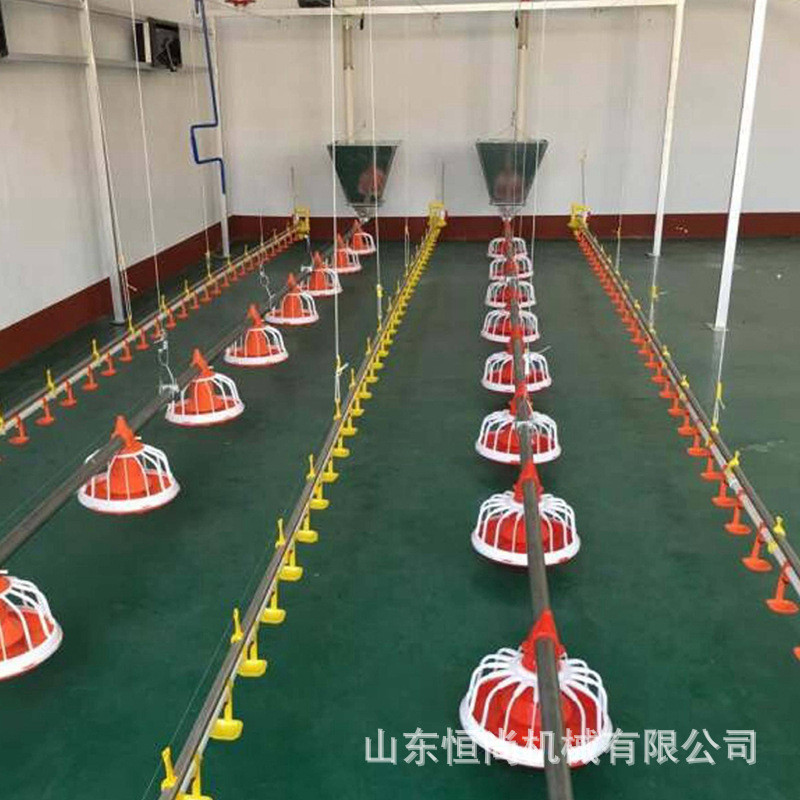 Poultry Equipment Automatic Feeding Line Full Set of Drinking Water ...