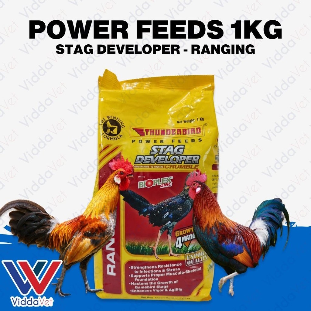 Thunderbird Animal Feed – Stag Developer Formula, 1kg | Shopee Philippines