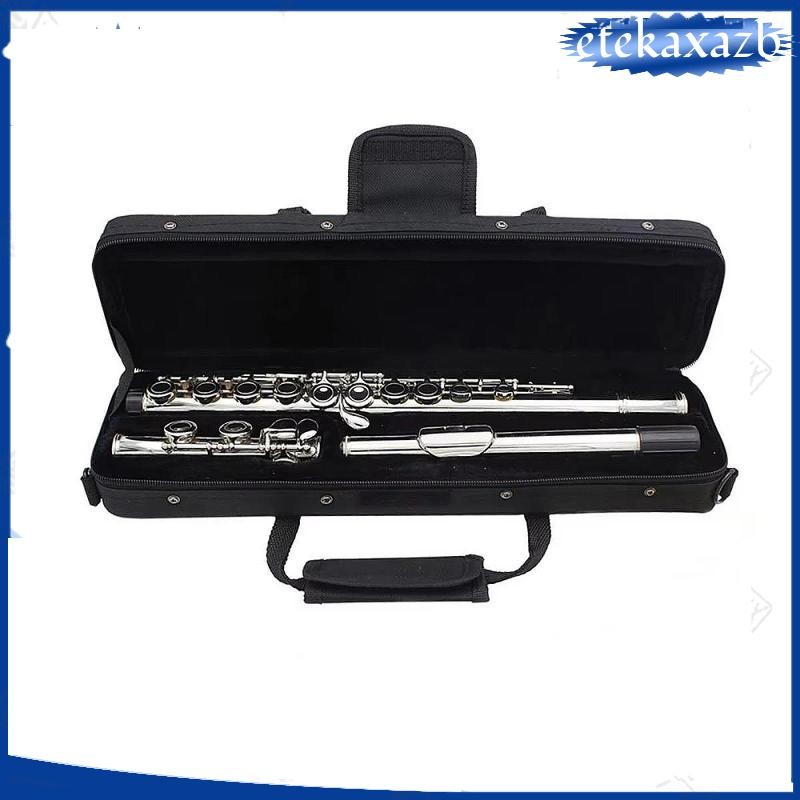 [etekaxazb] Handheld 16 Hole Flute Storage Bag, Music Instrument Case ...