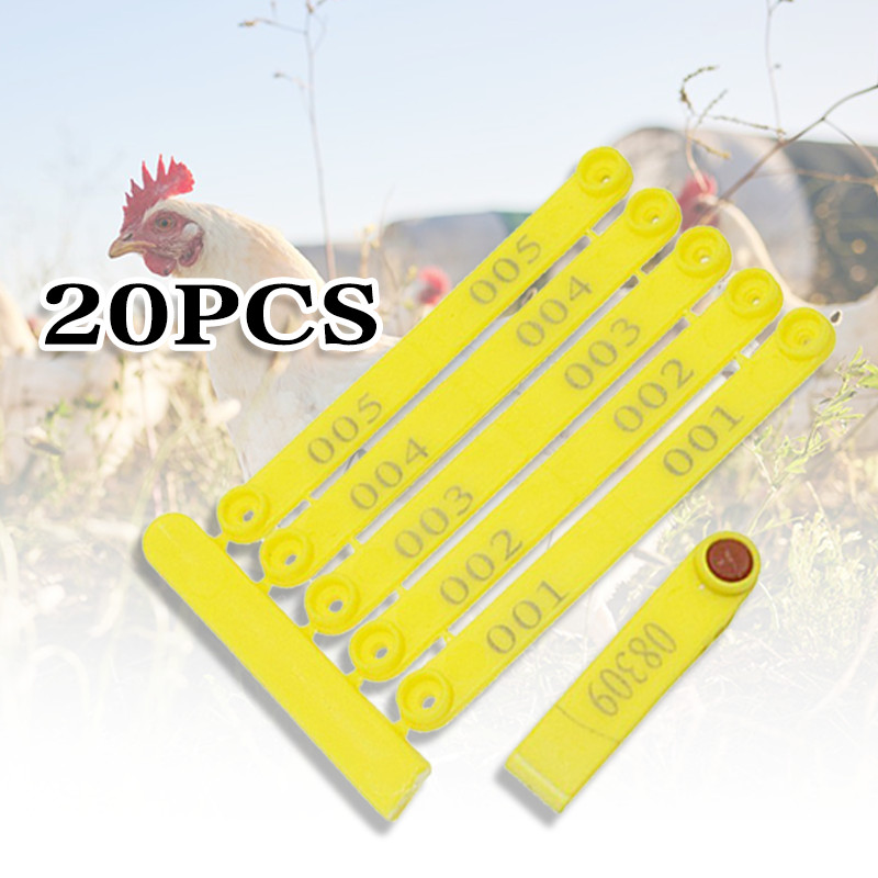 20pcs Wingband Yellow For Chicken Wings Bird Wings Easy Identification ...