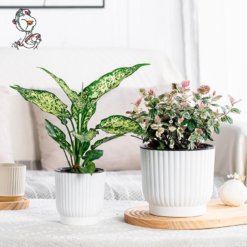 Flower Pot Automatic Watering Flower Pot Plastic Flower Pot With ...