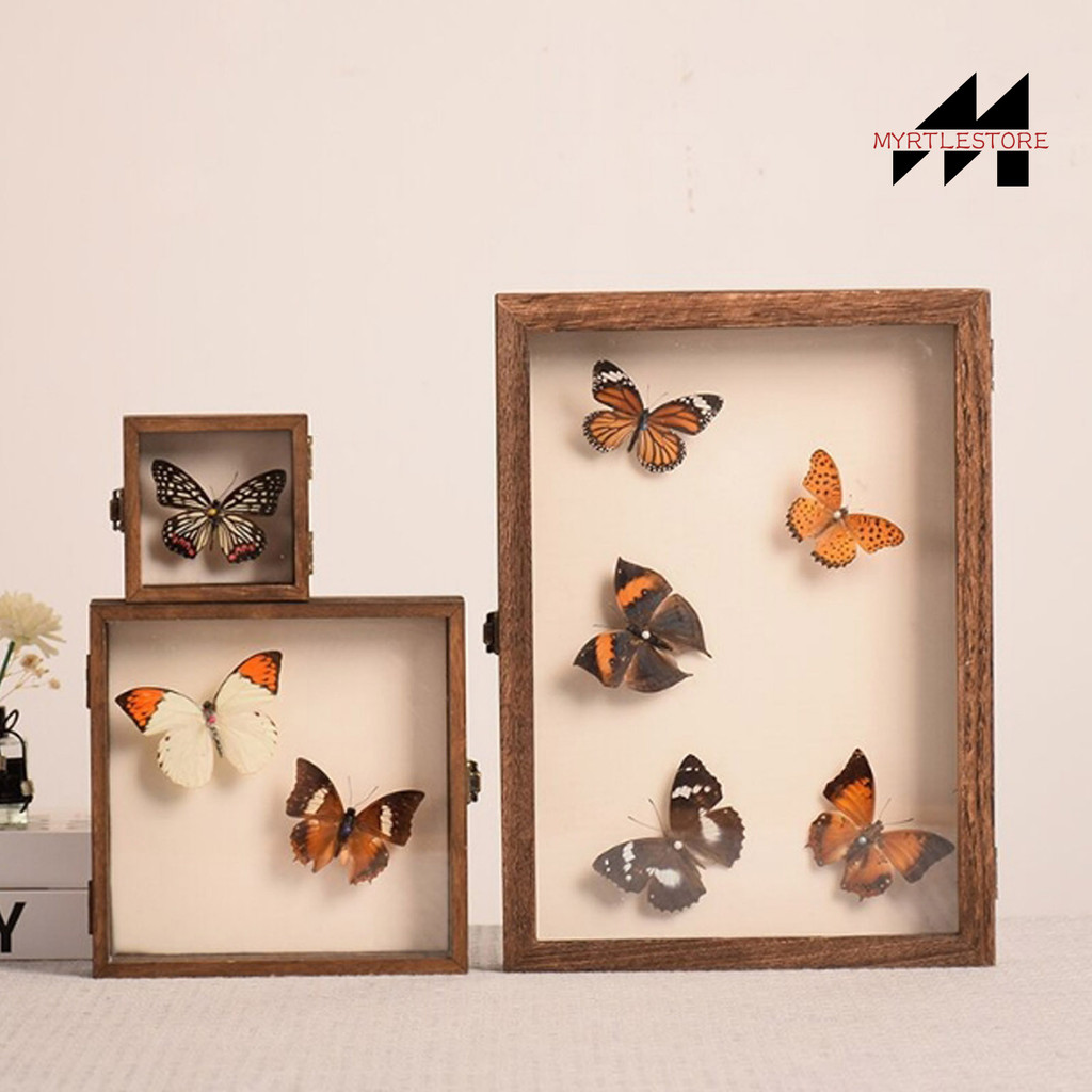 Myrtlestore High-Visibility Display Box Large Insect Shadow Box Wood ...
