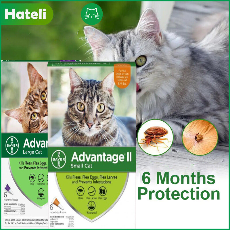 Advantage II Cat Flea Eggs Larvae Treatment & Prevention 6 Months ...