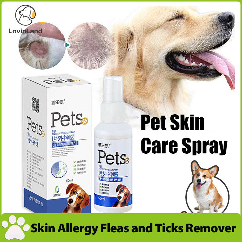 Dog Flea Allergy Cure photo