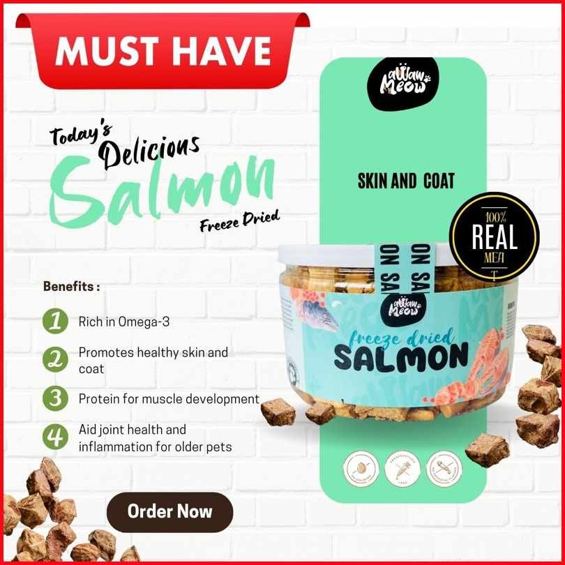 Awaw%RoqO%Meow~s?Salmon*O?Freeze*v@Dried+q@Dog+E@Treats+MS@and Cat ...