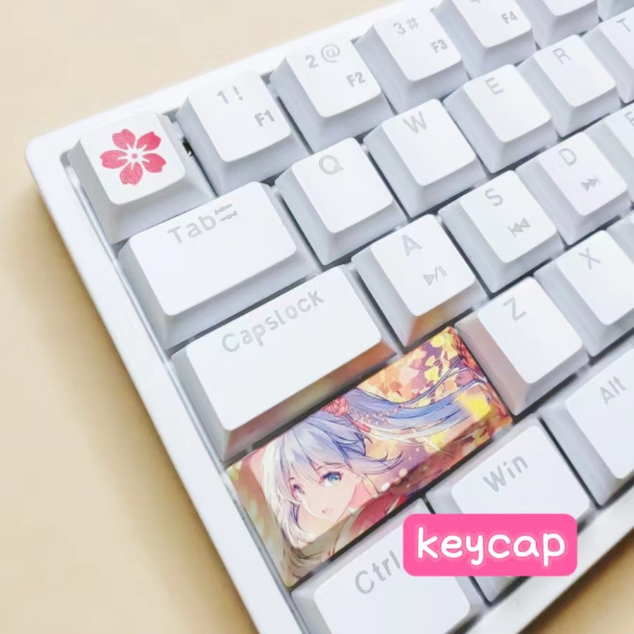 P PBT Keycap Two-Dimensional Mechanical Keyboard Keycap | Shopee ...