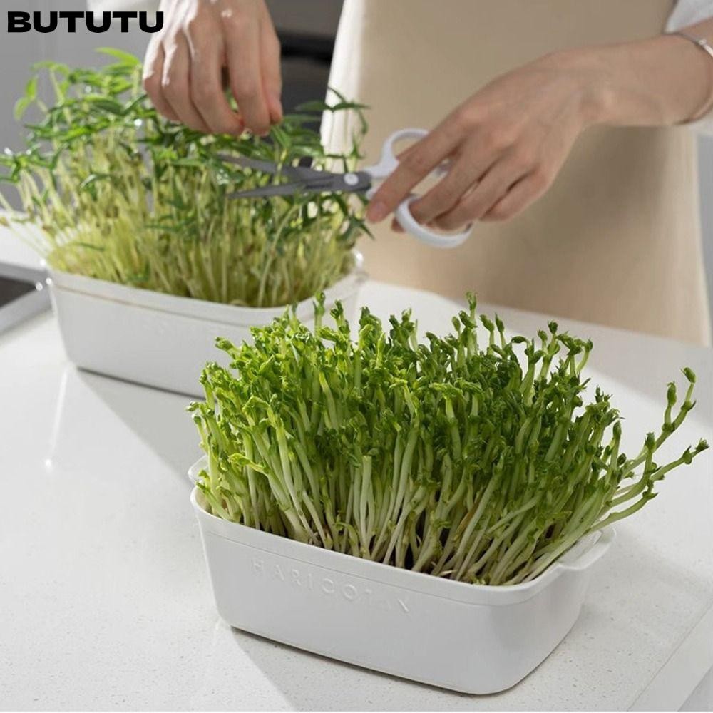 BUTUTU Sprouts Growing Tray, Soilless Cultivation Horticultural Tool ...