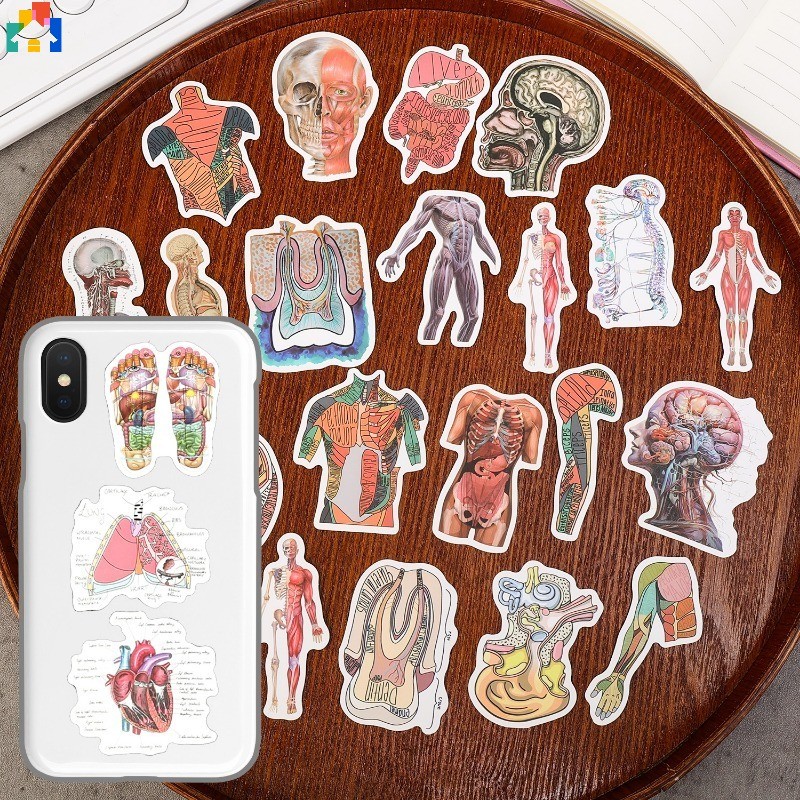53Pcs/Set Self Adhesive Human Anatomy Pattern Sticker Creative Anatomy ...