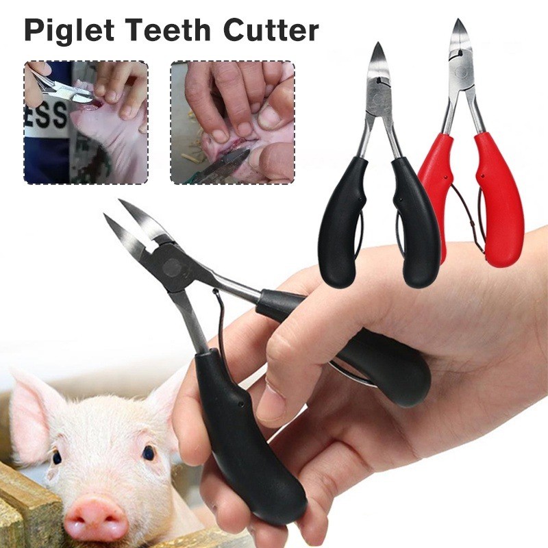 Pig Tooth Nipper Stainless Steel Teeth Cutter Piglet Broken Tooth ...