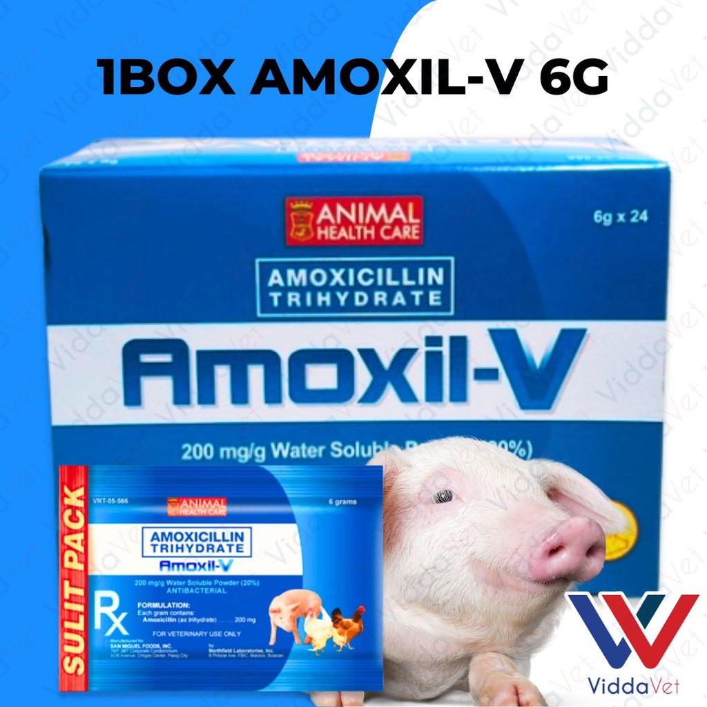 Amoxil V 6grams powder for pigs Safe and Effective 1bx | Shopee Philippines