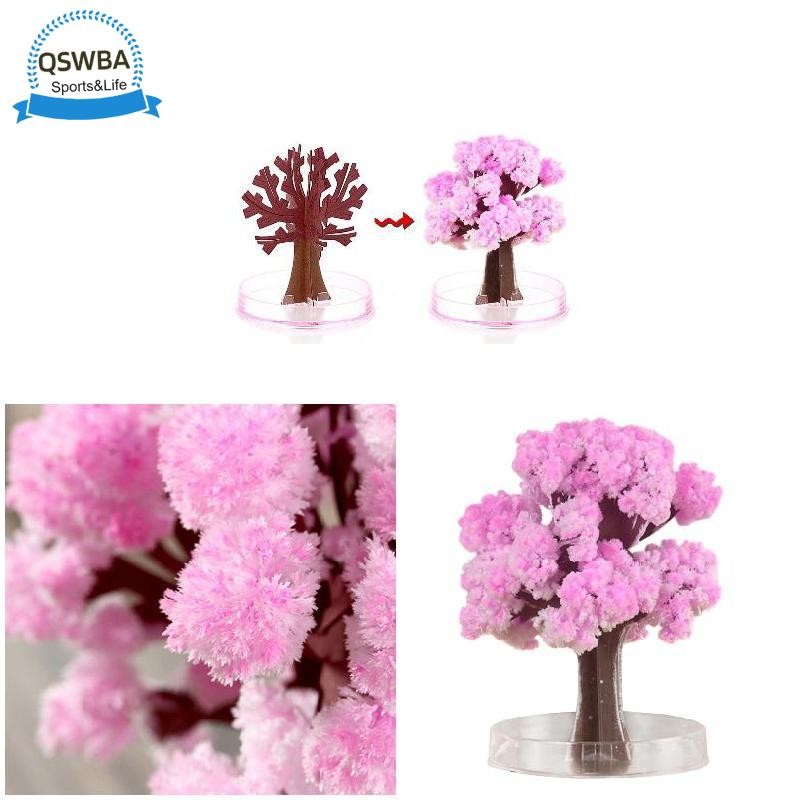 Magic Growing Tree Paper Sakura Crystal Trees Desktop Cherry Blossom ...