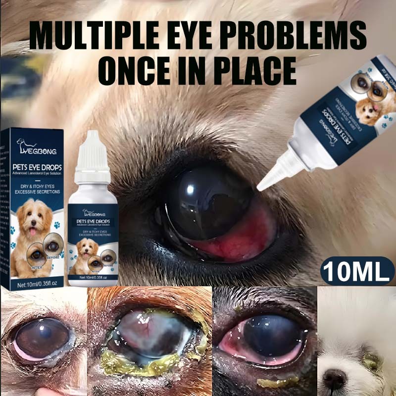Pet Eye Drops for Cat Dogs Eye Infection Opthalmic Eye Drops Remove ...