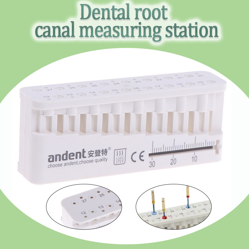 High Temperature Sterilizable Dental Root Canal Measuring Table Ruler ...