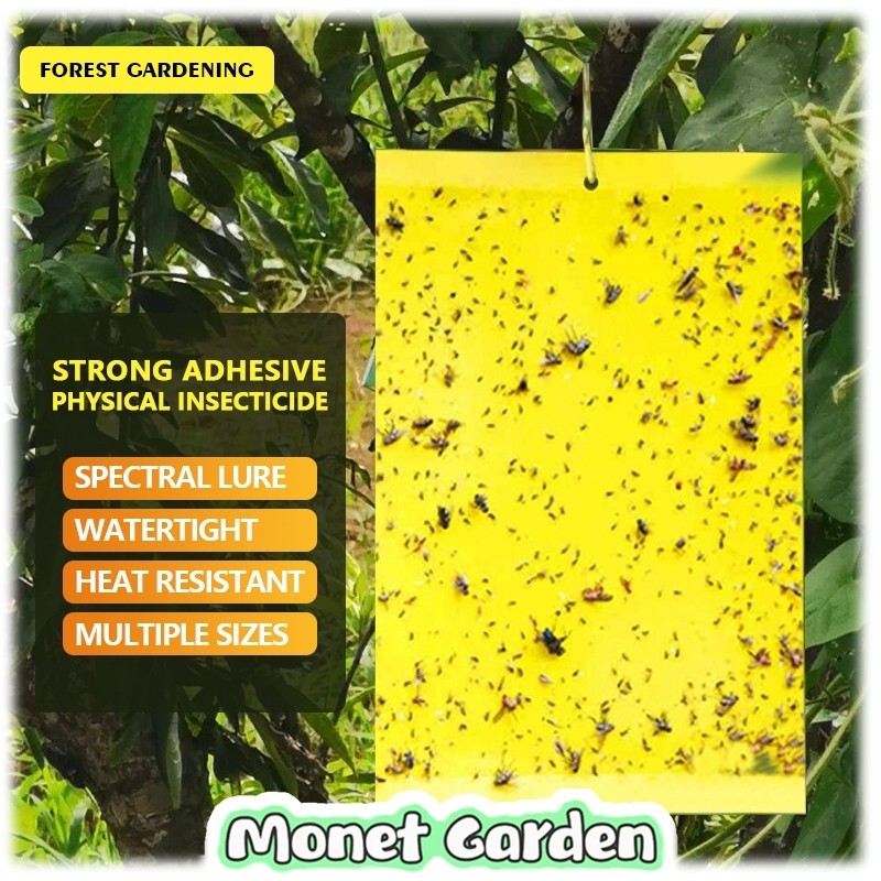 Double sided insect trap board, waterproof insecticide trap board, 20 ...