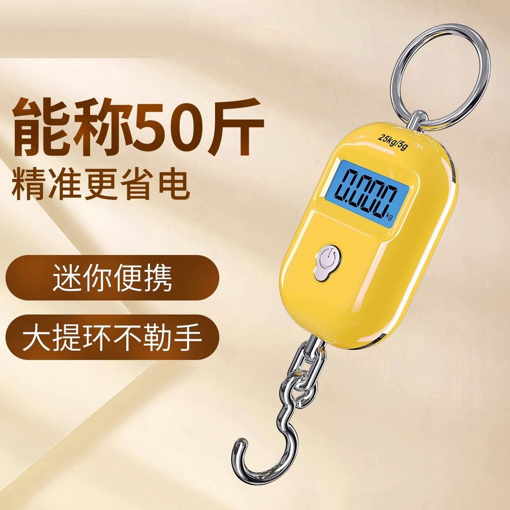 Weiheng Small Mini Portable Electronic Scale Portable Household 25kg ...