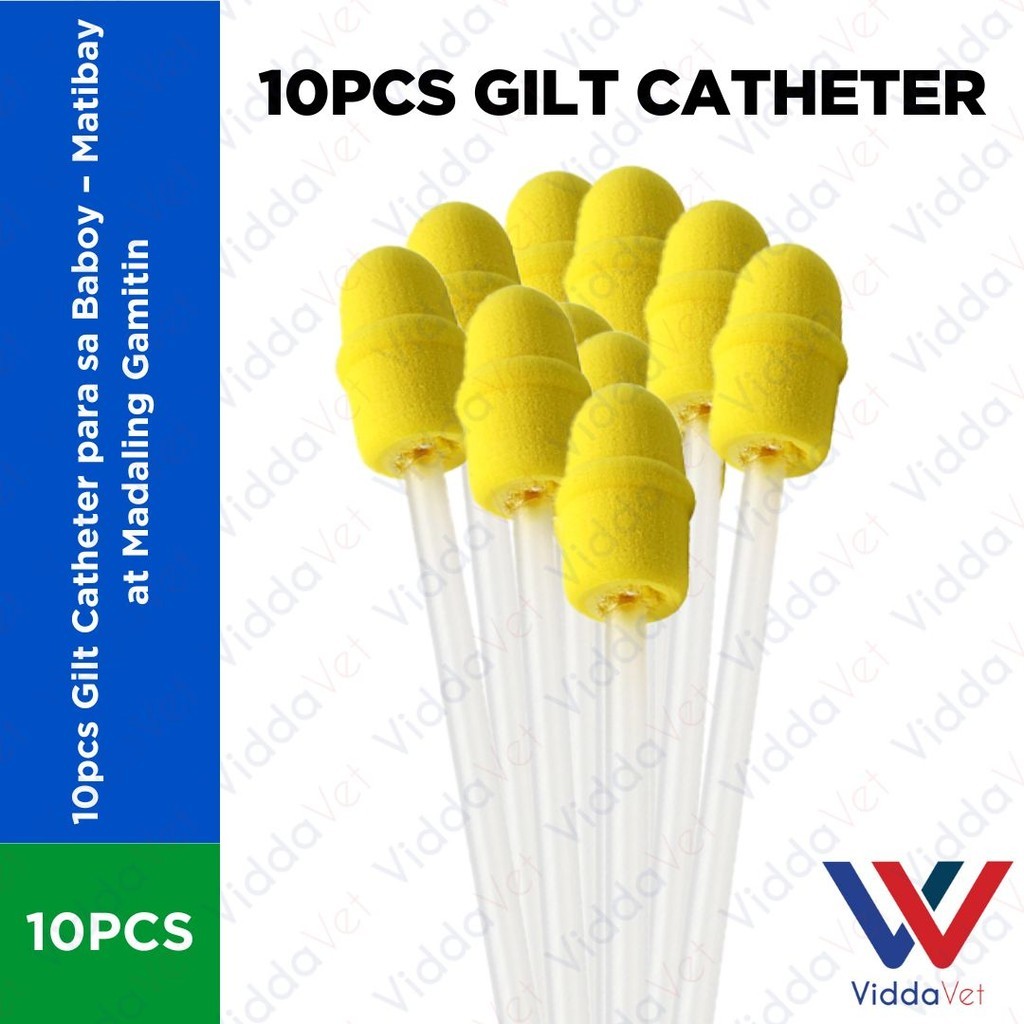 Quick and Easy 10pcs Disposable Gilt Catheters for Pigs | Shopee ...