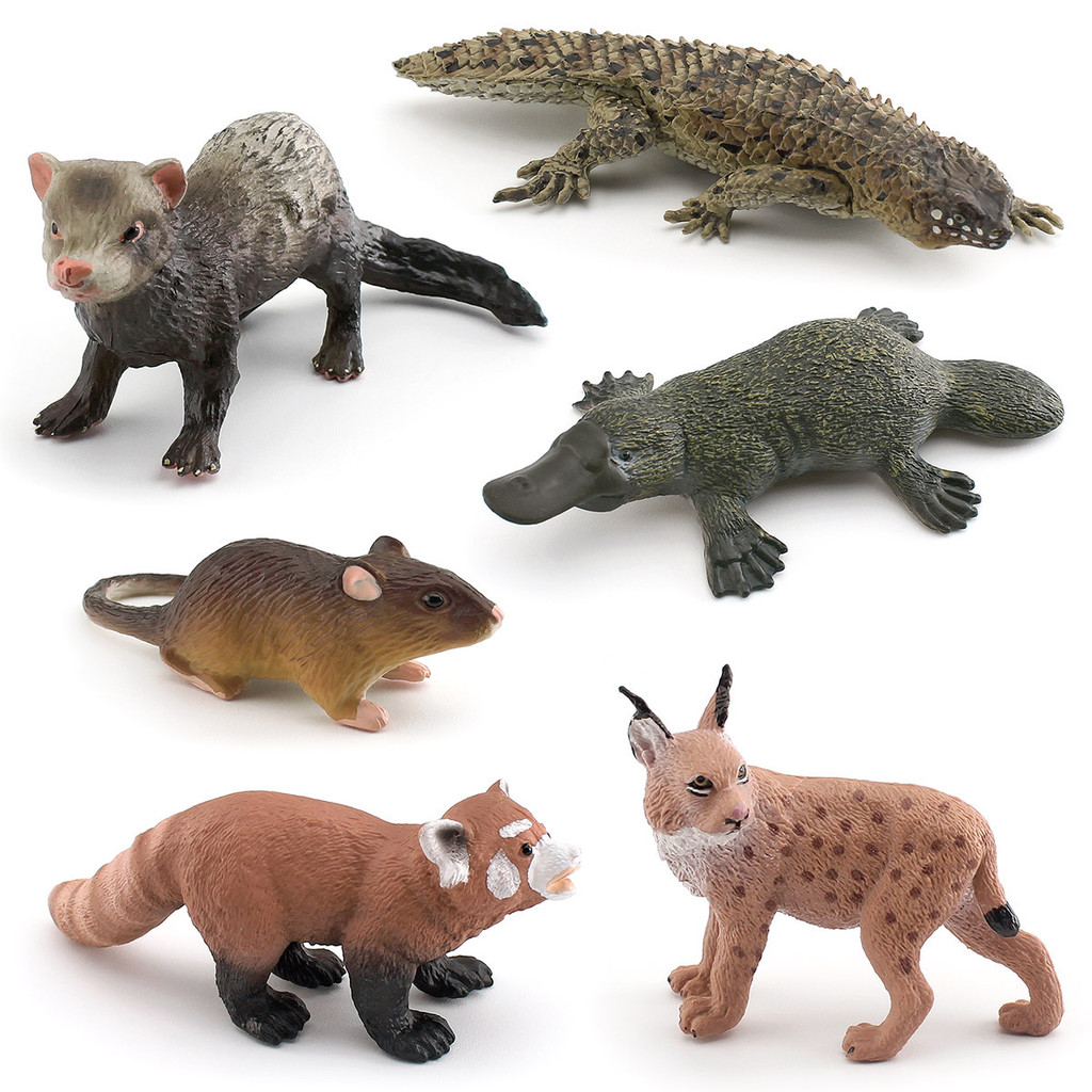 Simulation Short Tail Tigercat Lesser Panda Mouse Platypus Ferret Thorn ...