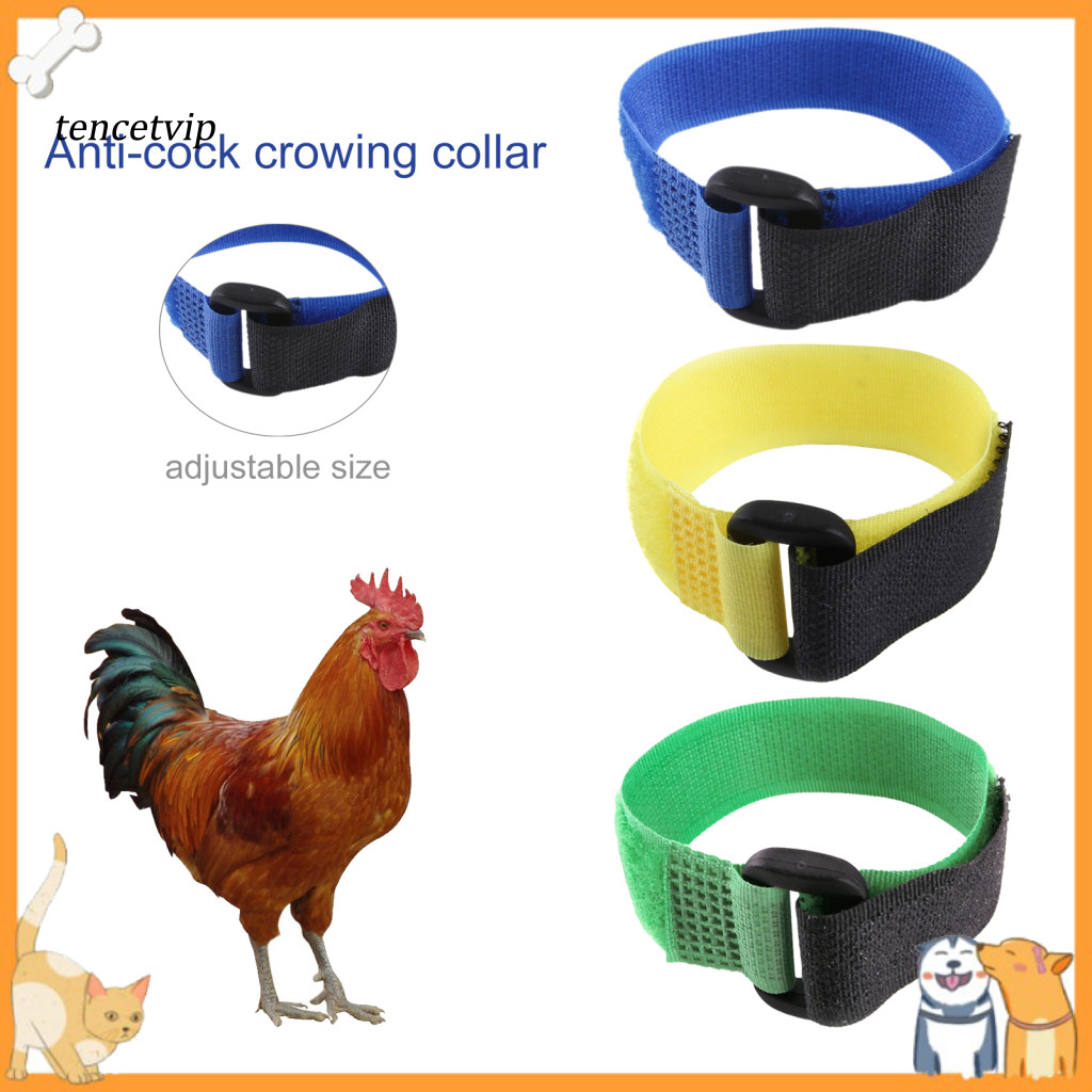 Vip 2Pcs Chicken Collar Soft Texture Anti-cock Crowing Adjustable Anti ...