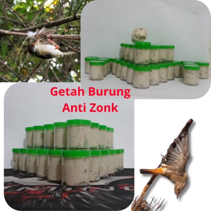 Super Sticky Bird Sap, Anti-zonk Bird Glutinous Rice, Terap, Leugeut ...