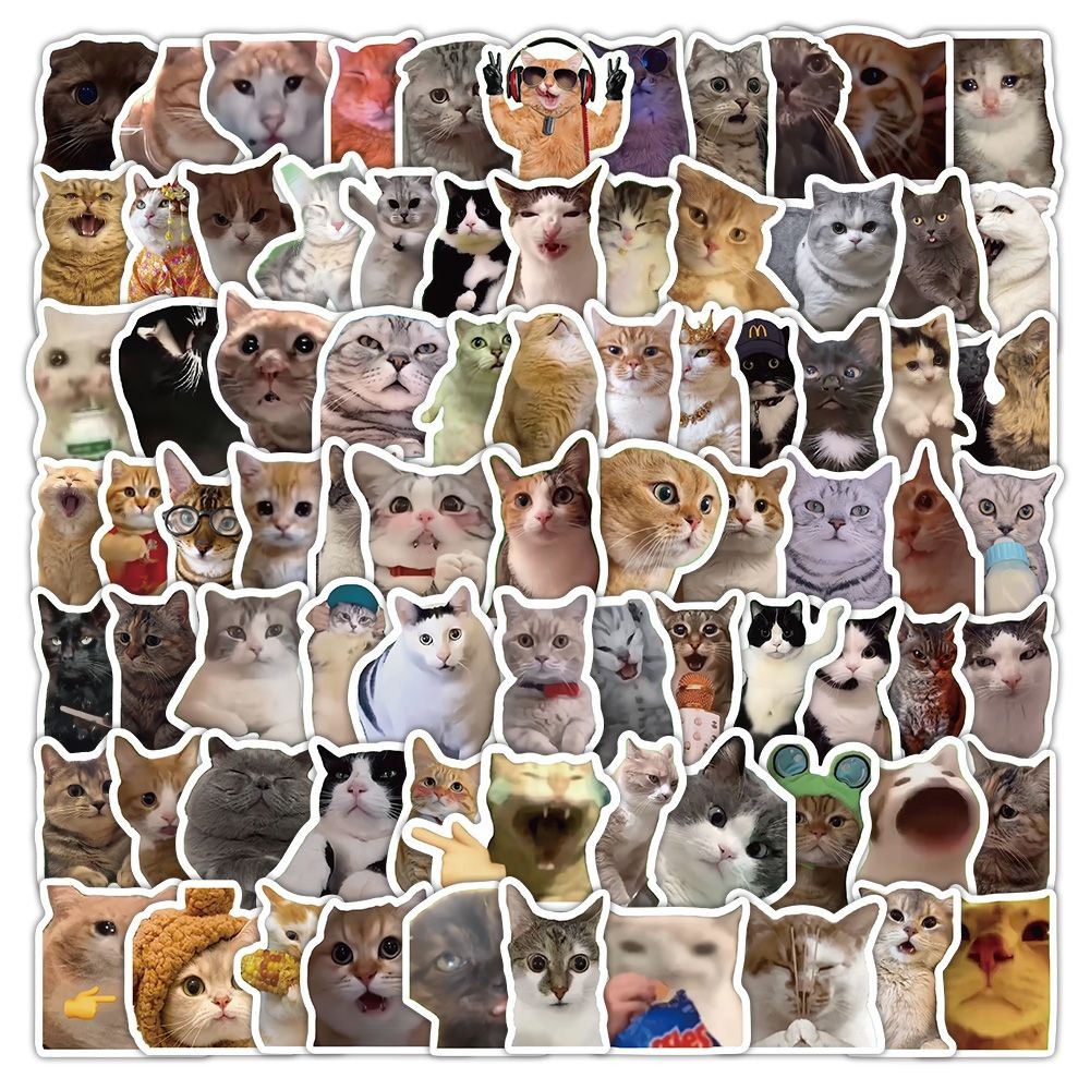 300 Pieces cat meme stickers cute funny cat Meme stickers20250519 ...