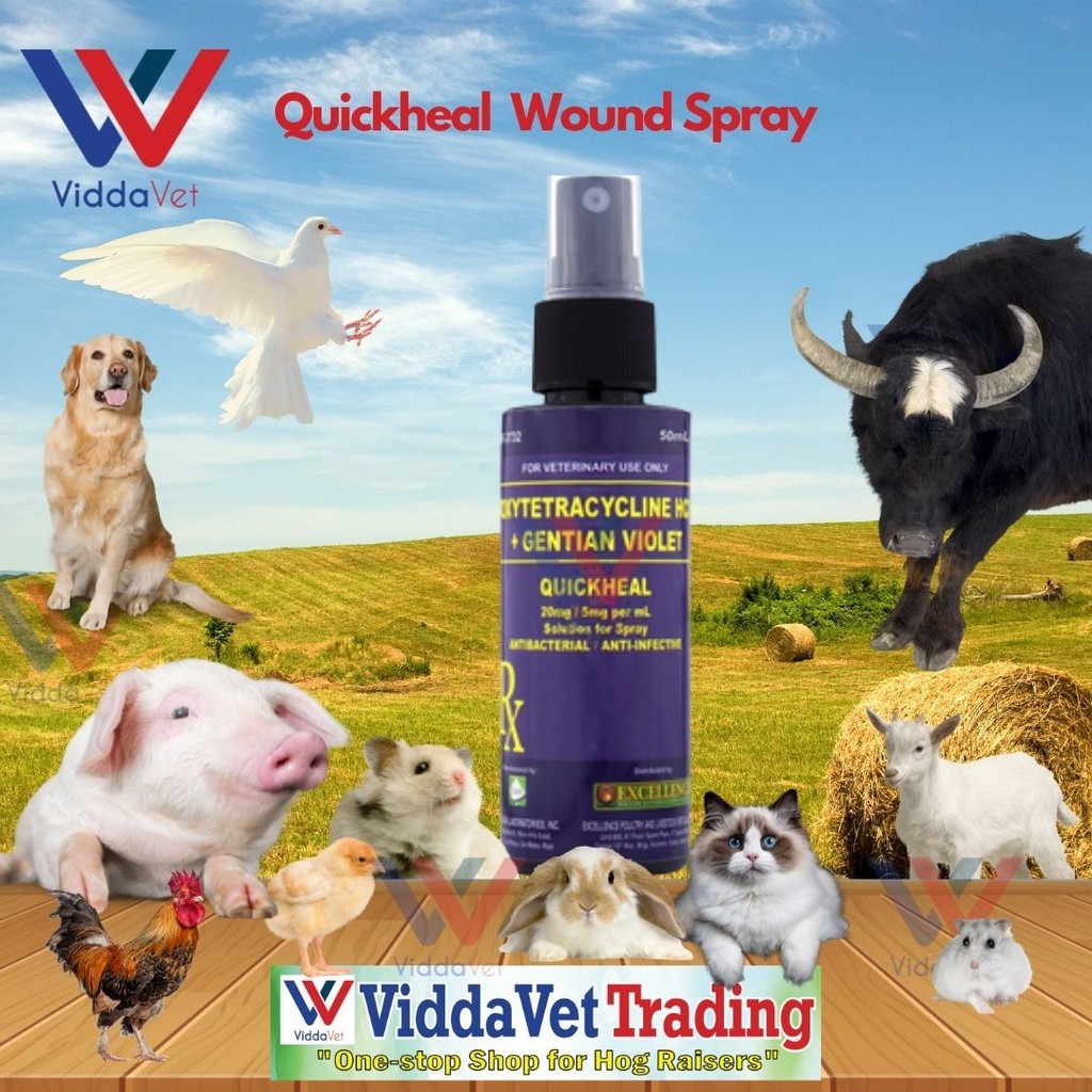 viddavet 50ml Quick Heal Wound Spray for Pets livestock pig gamefowl ...