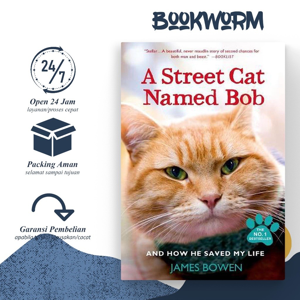 A Street Cat Named Bob And How He Saved My