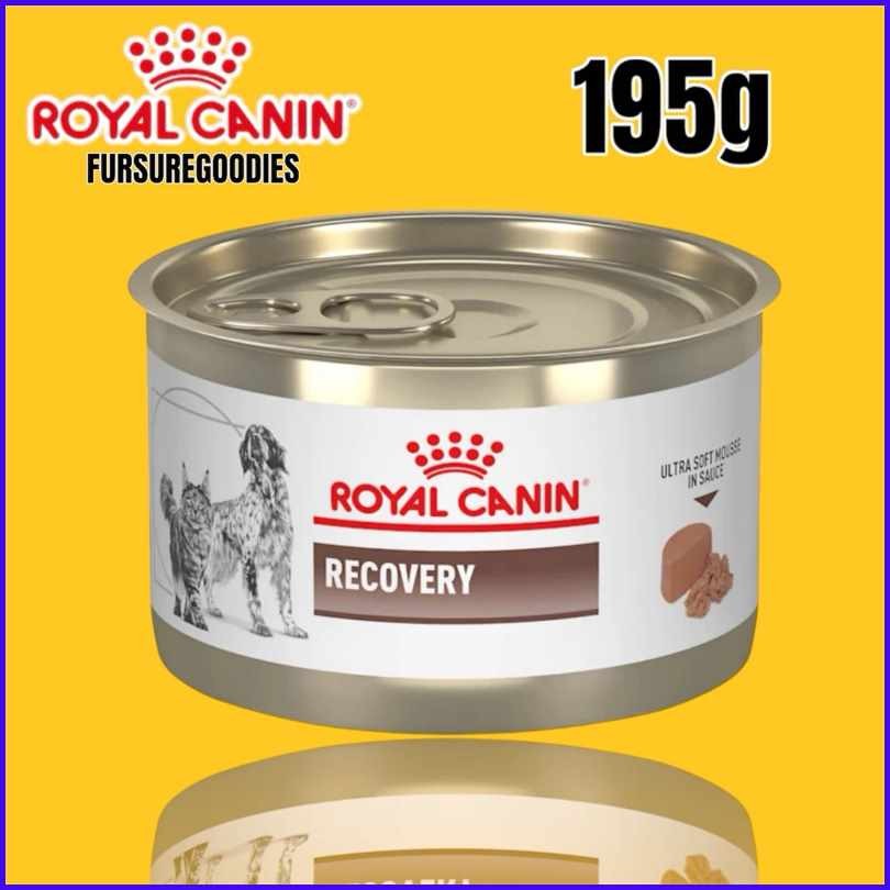 Royal=Gt-Canin@Fd}Recovery.g#Food]B#195g | Shopee Philippines