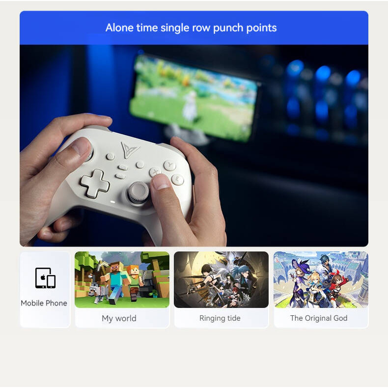 FlyDiGi Desert Fox Game Controller Black Myth Wukong Switch Controller ...