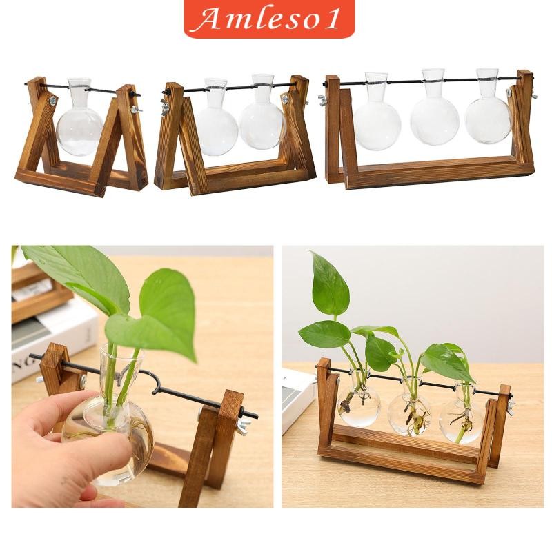 ValueHall Vaso Idroponico A Bulbo In Vetro Con Supporto In Legno - Set Da 3 Vasi E 2 Ripiani - Terrario Per Piante Acquatiche - 5